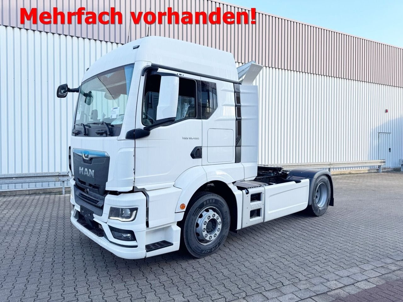 Truck MAN TGS 18.480 4X4H BL