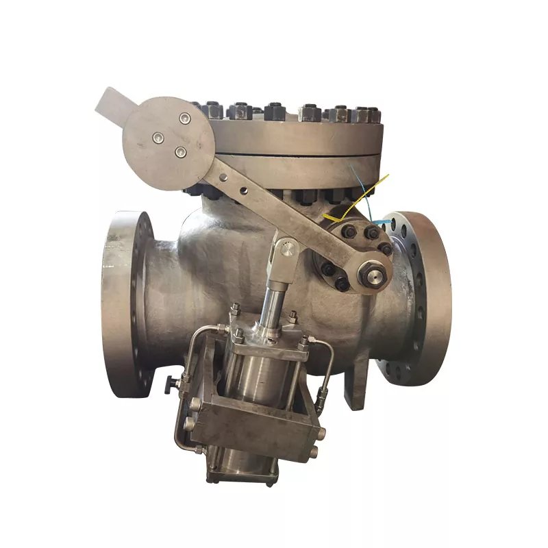 Fördertechnik Öl & Gas SLB Check valves