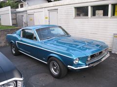 Mustang 6003