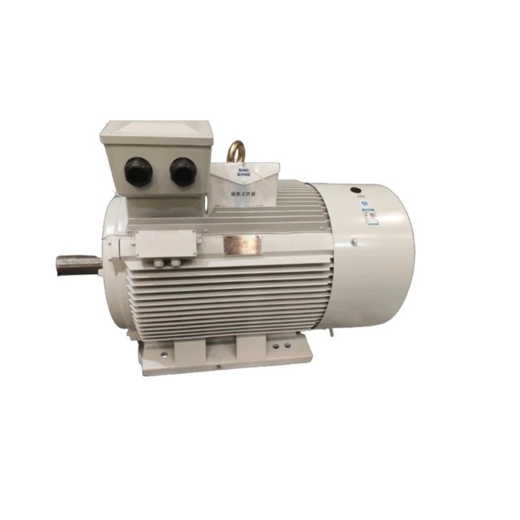 Electric motor Tema Y315L1-4