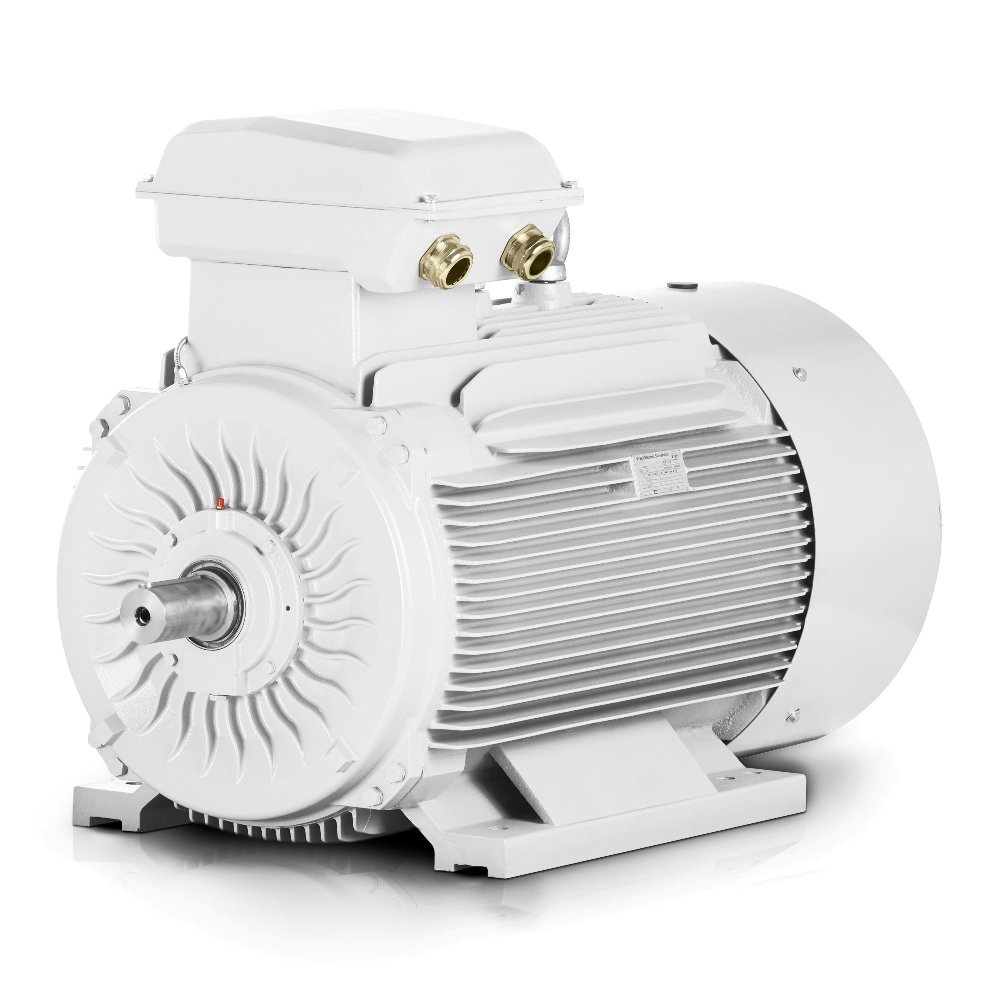 Elektromotor Trojan 55C315S-8