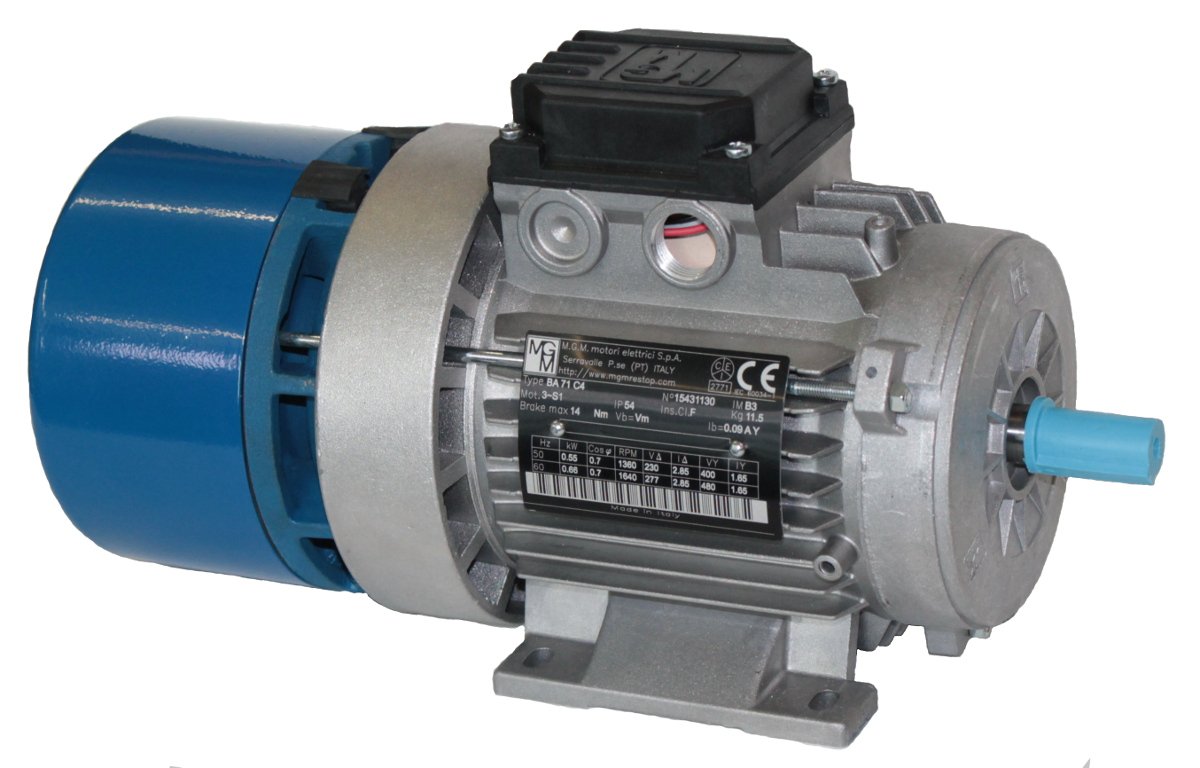 Electric motor Burt GBM0.75-80M-4