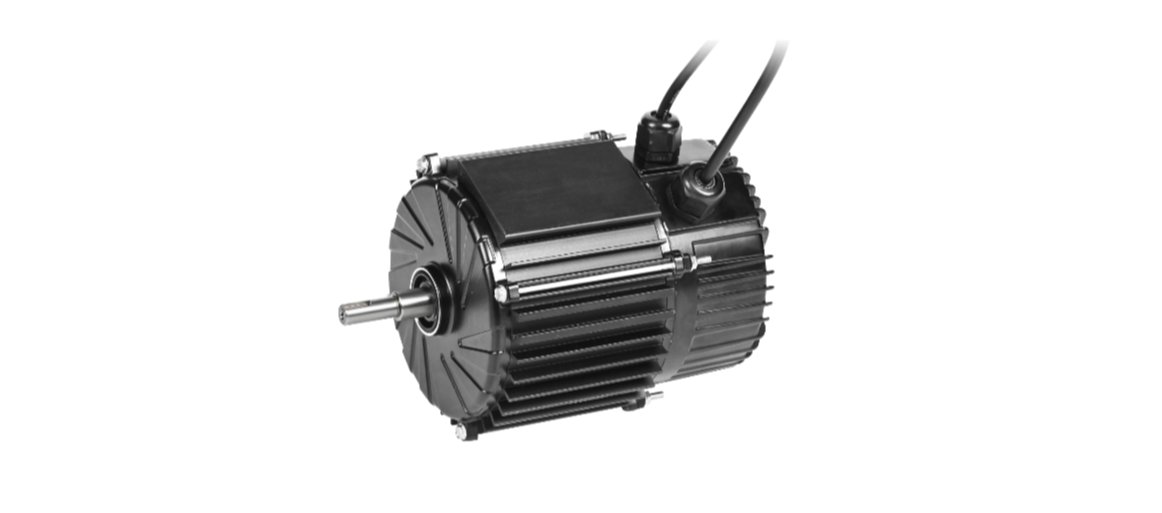 Electric motor Wolong YE3-200L1-2