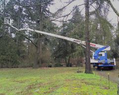 STEMATEC LOEBAU GTK 18