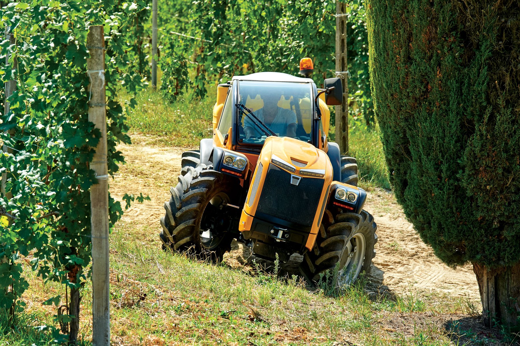 Traktor Pasquali 490
