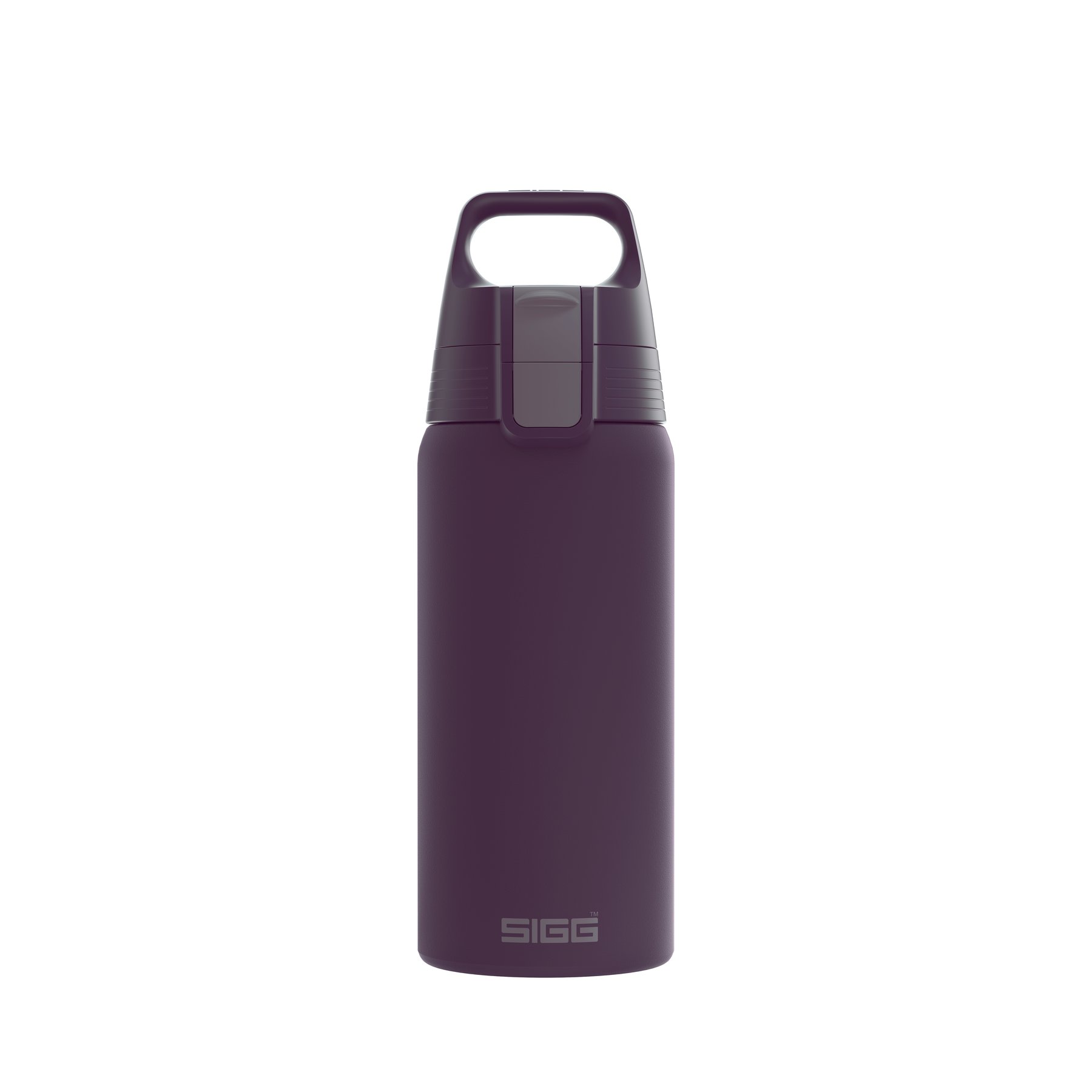 Sigg 26PL31-T19