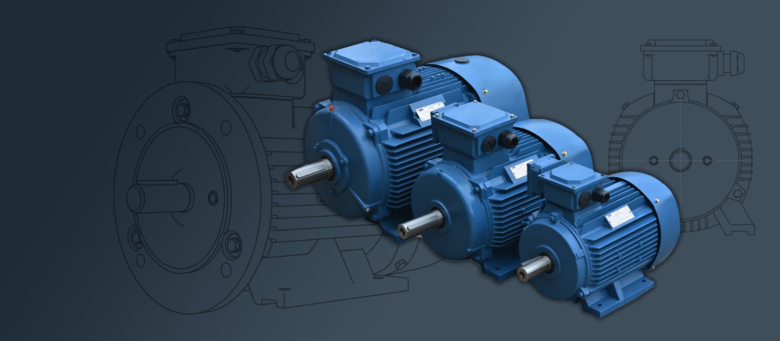 Electric motor Emtomec PHE280MX4