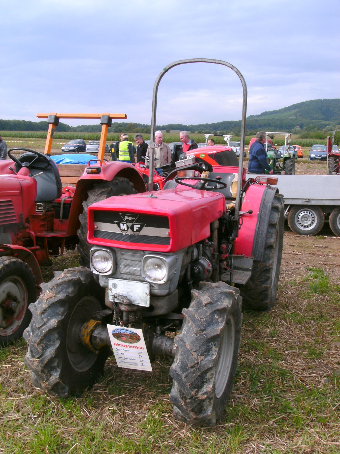 Tractor Massey Ferguson 142S vineyard