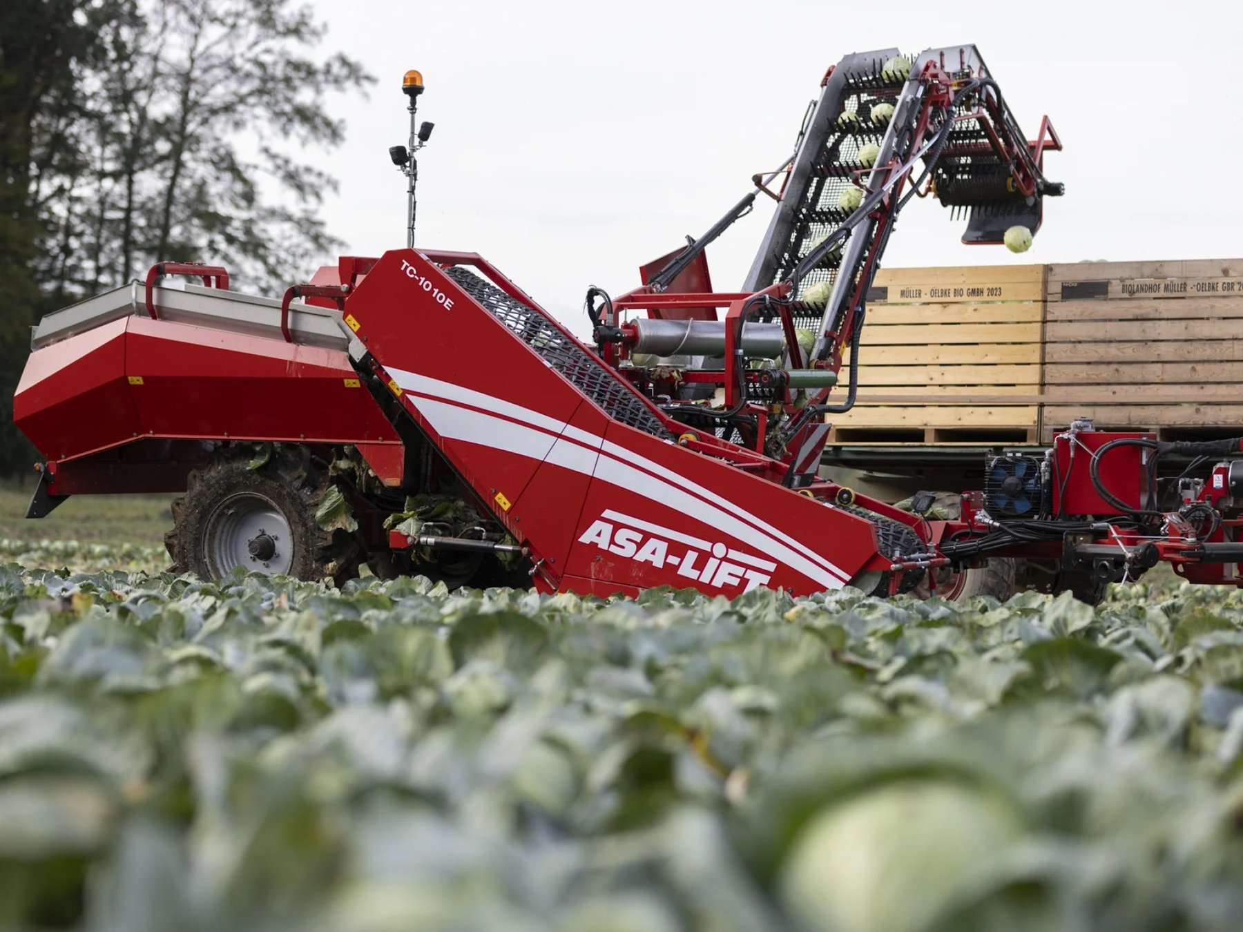 Fruit & vegetable equipment ASA-LIFT / GRIMME Combi-1010E