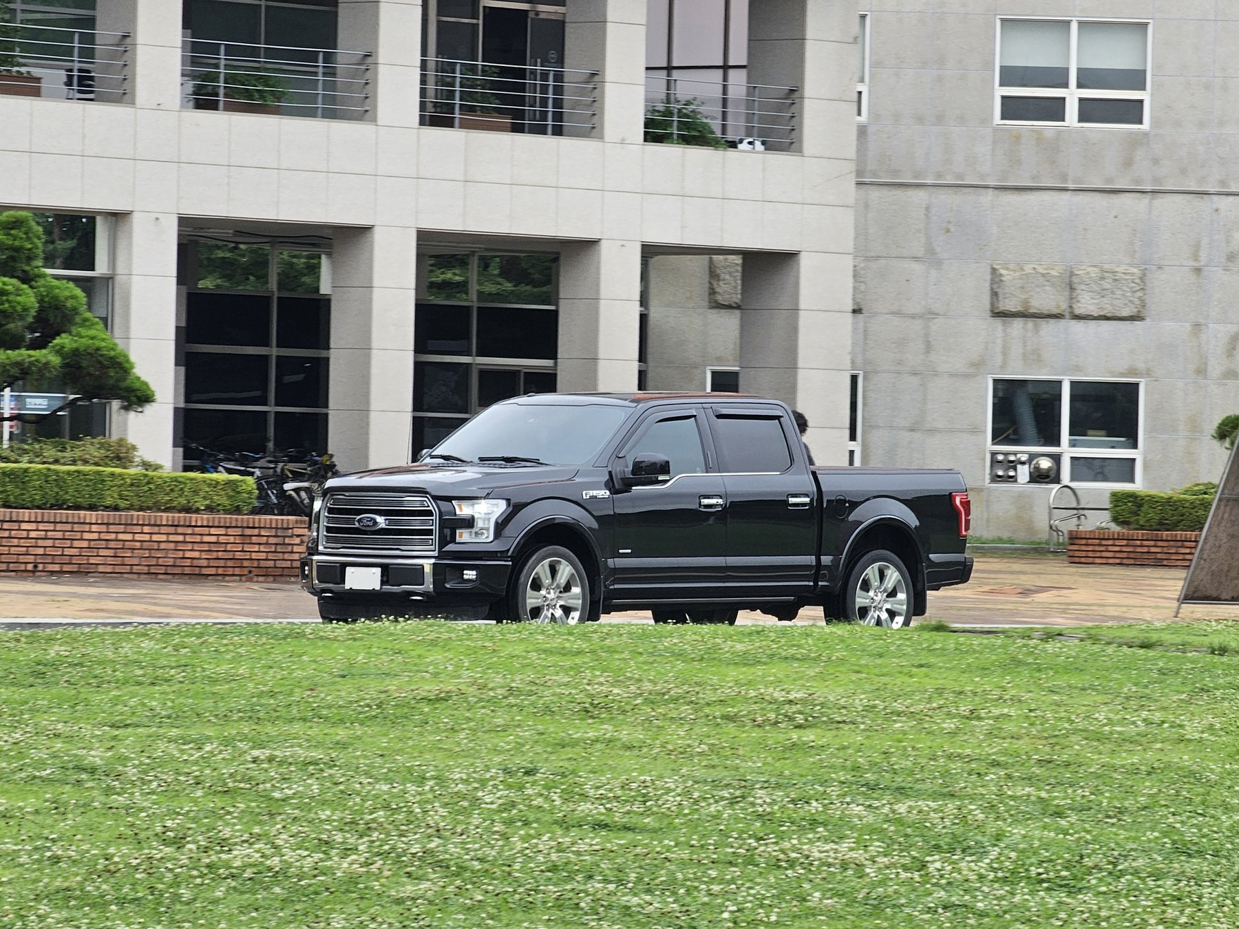 Van Ford FORD F 150 ECOBOOST
