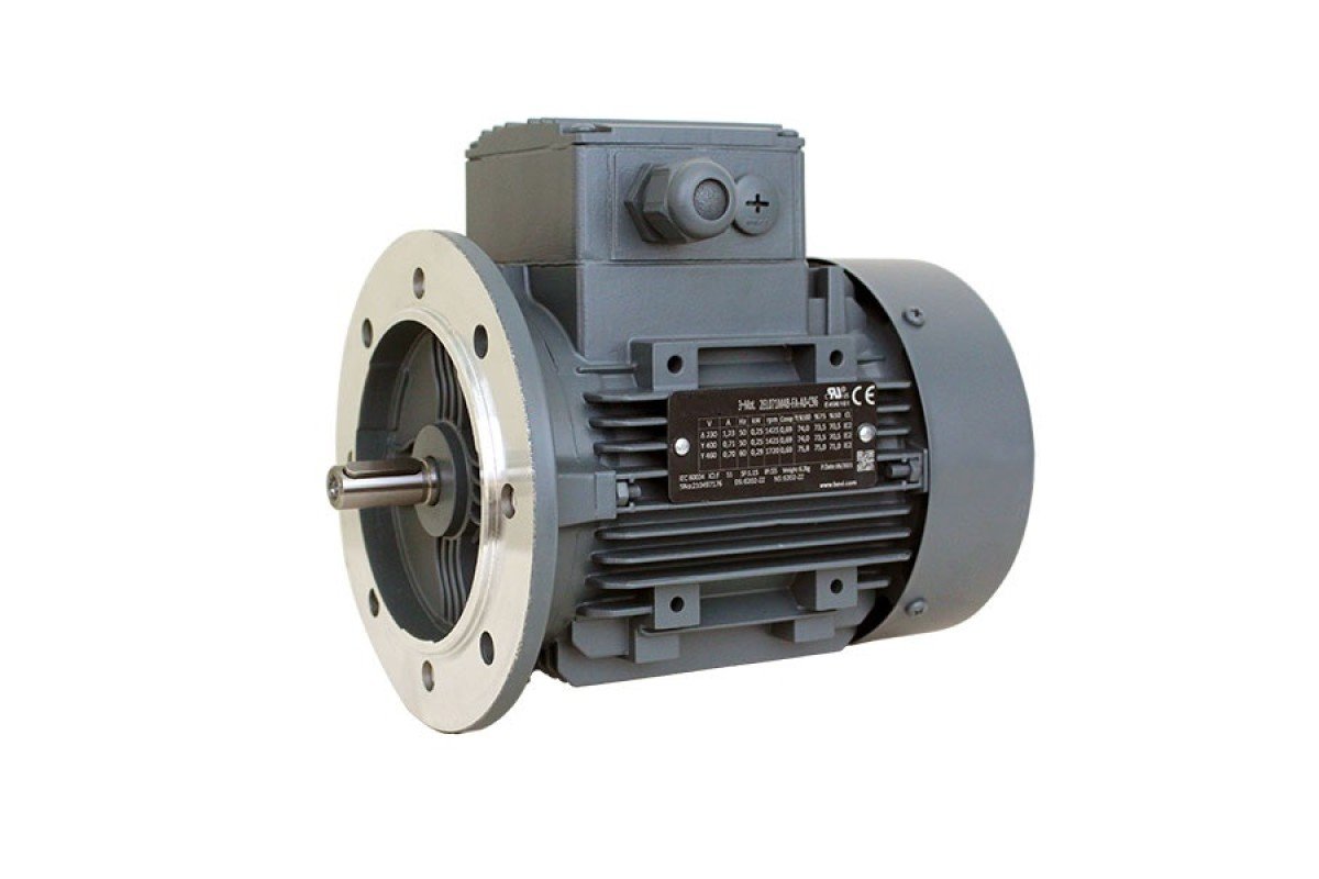Electric motor Intem EG-315L2-4