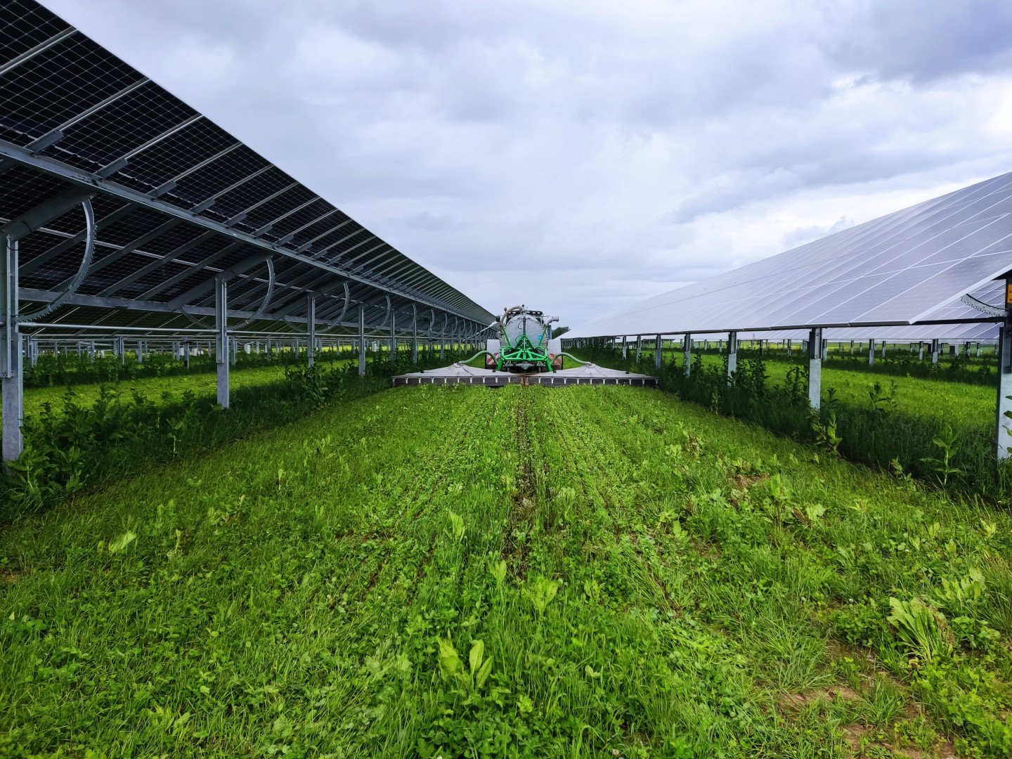 Car trailers up to 3.5 t RICE 1 AKS PV