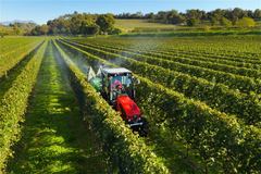 Hake F70 vineyard