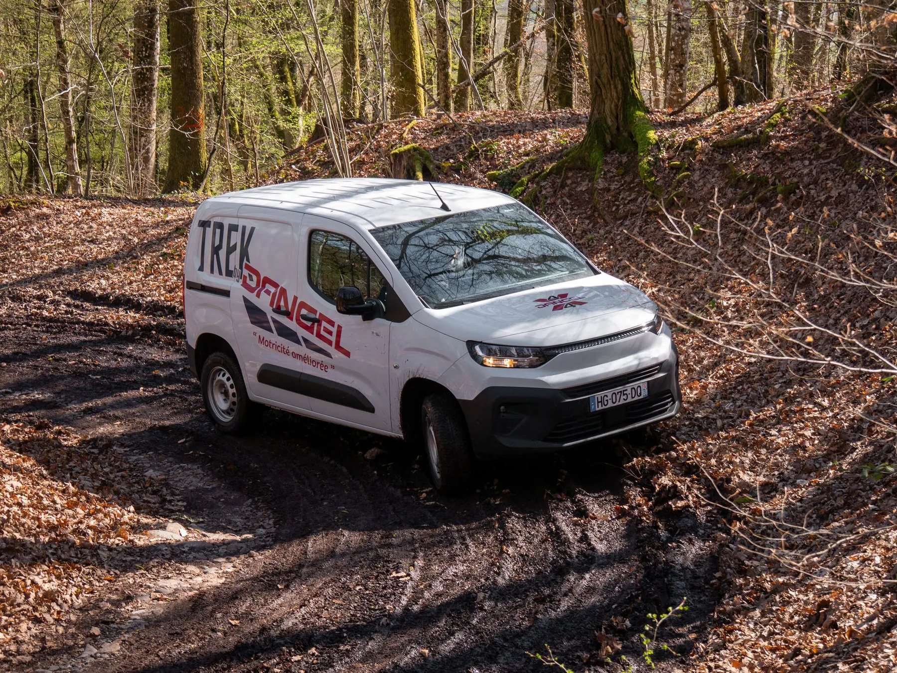 Dangel JUMPY 4x4