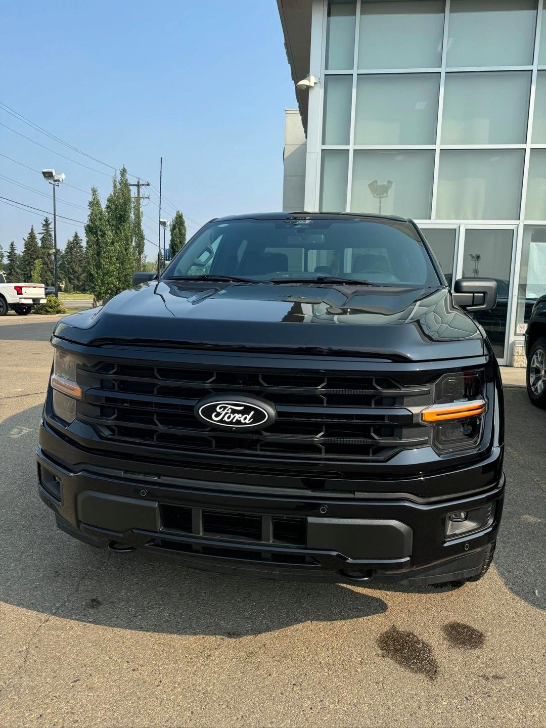 Van Ford FORD F150 FX4