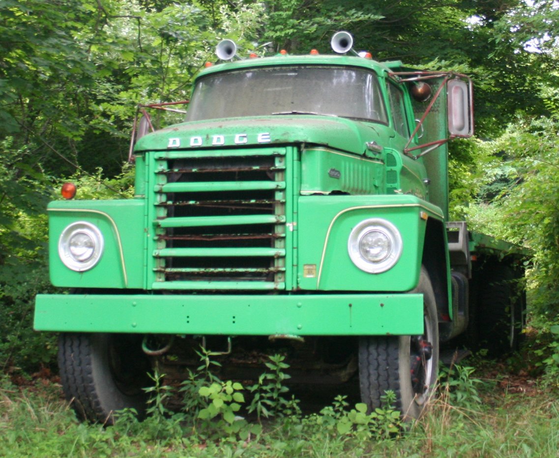 Van Dodge OPEN ROAD DE LU
