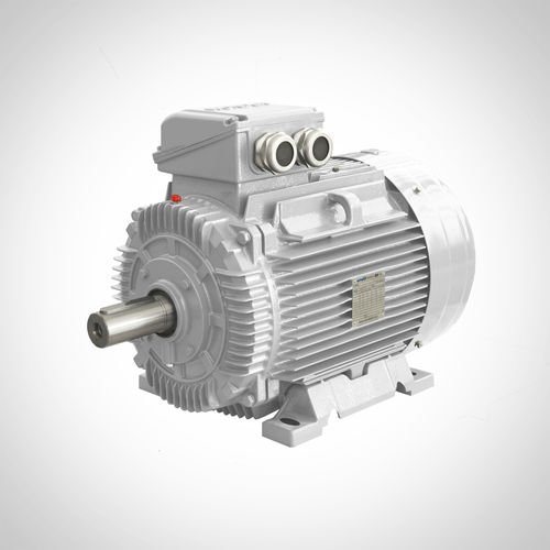 Electric motor Wonder SWE 355M2-6