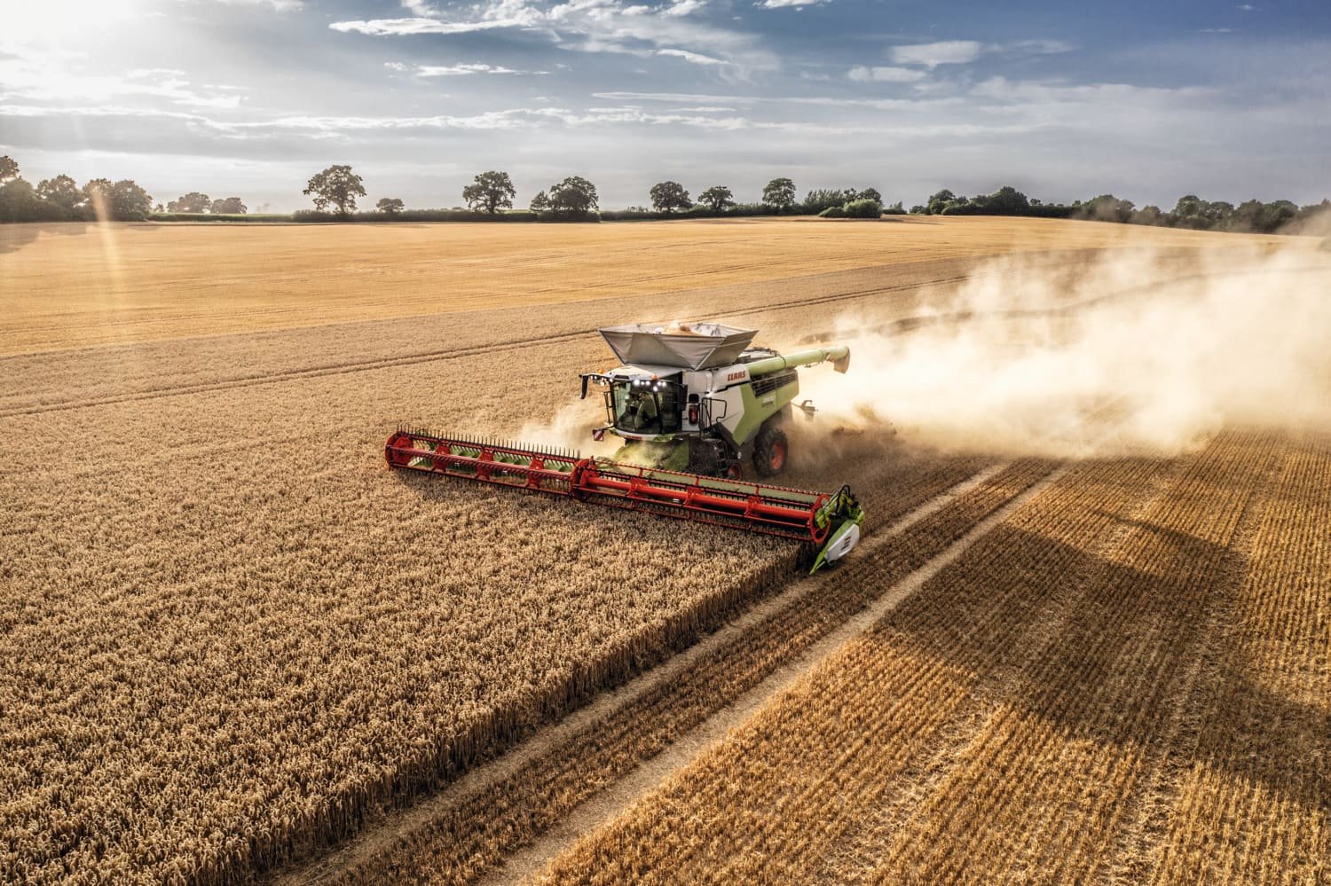 Erntemaschine CLAAS Lexion 8000