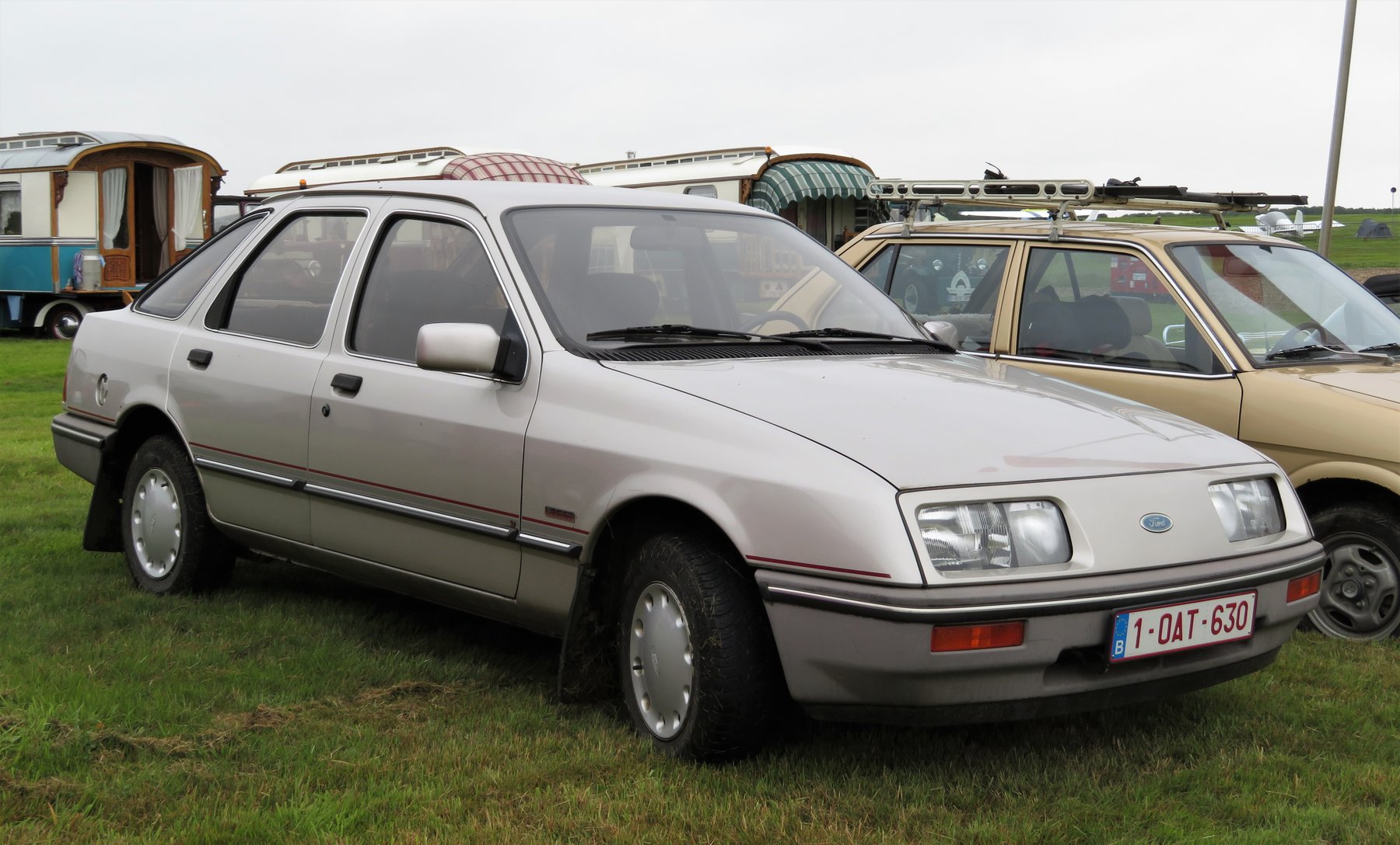 Dcf Sierra