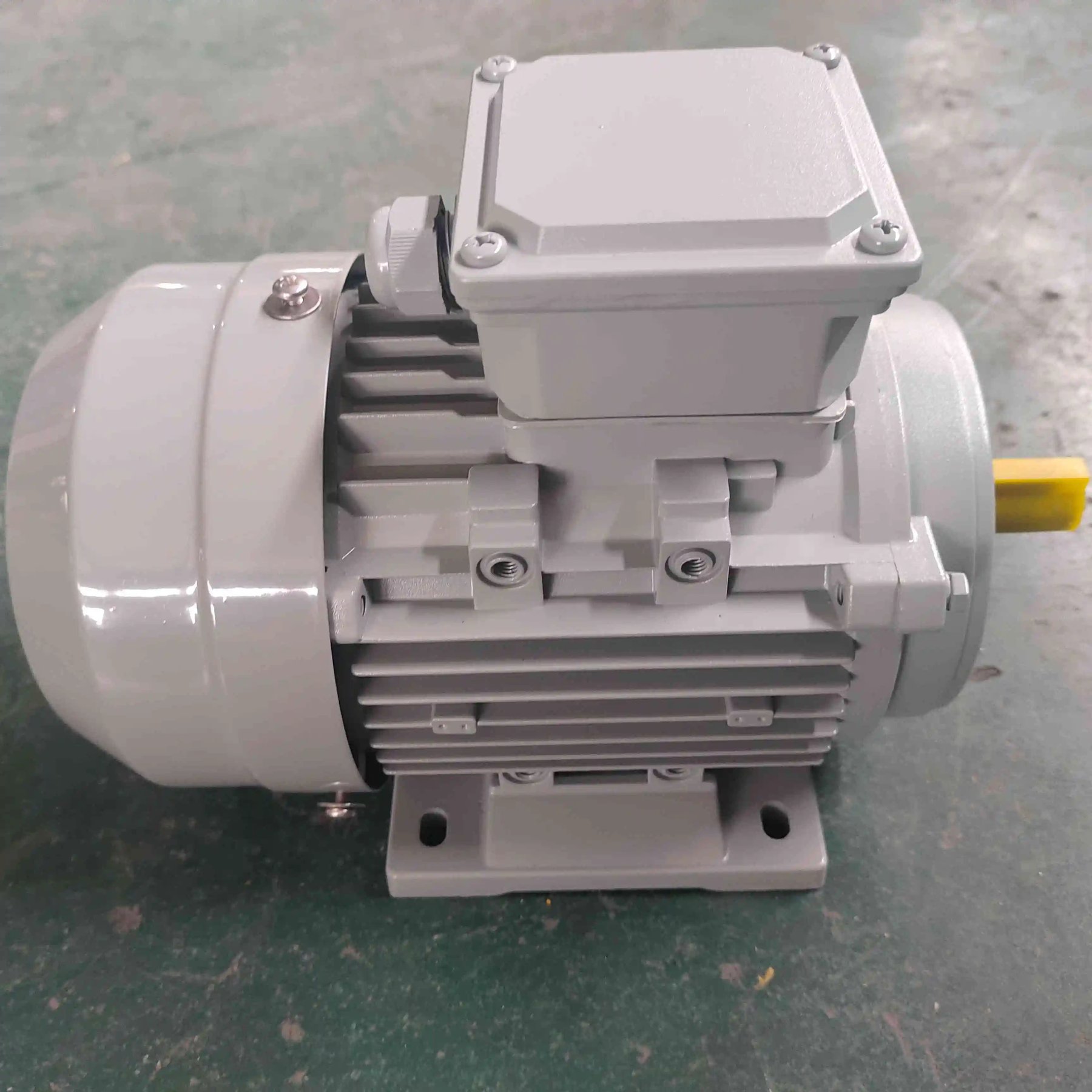 Electric motor EMT Y2E 315L6