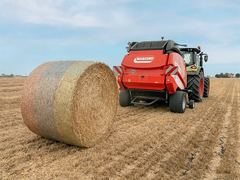 Maschio Extreme365 HTR