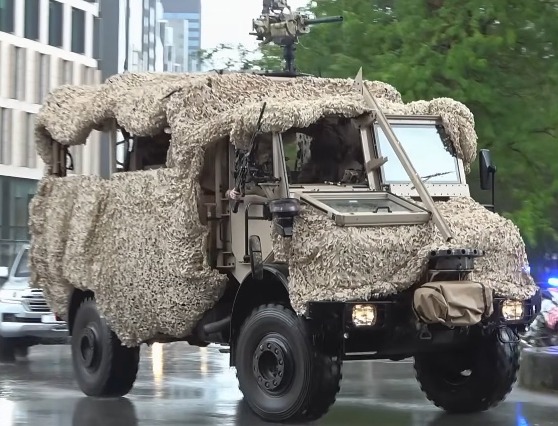 Wolf TLP 12