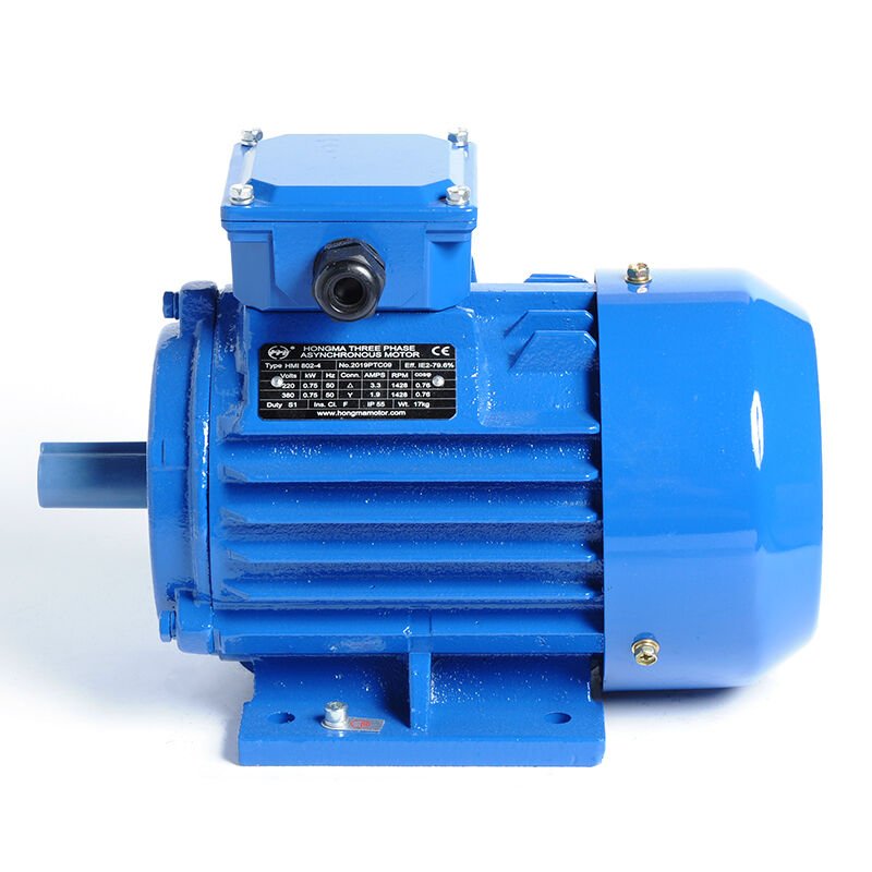 Electric motor Wonder WE 100L2-8