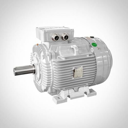 Electric motor Wonder WE 132M-8