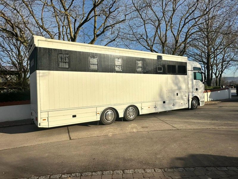 Van Renault TVW HORSETRUCK