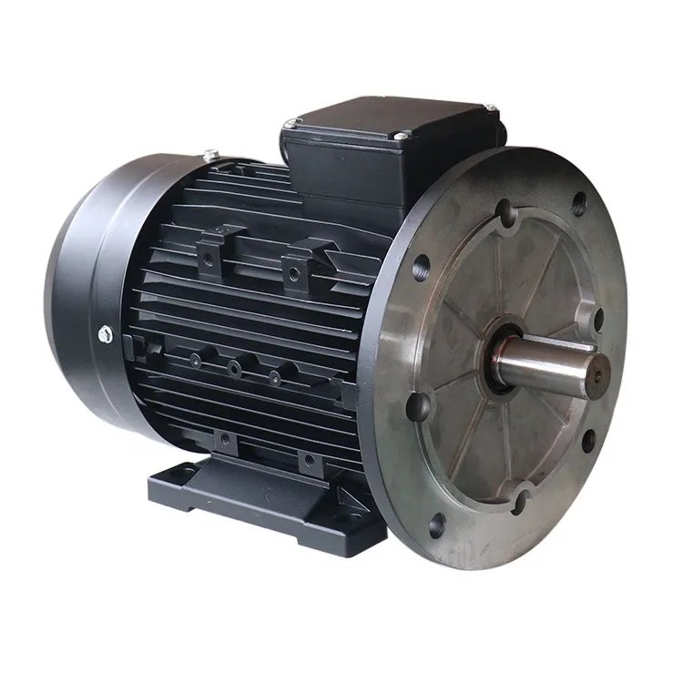 Elektromotor EMT MS100L6