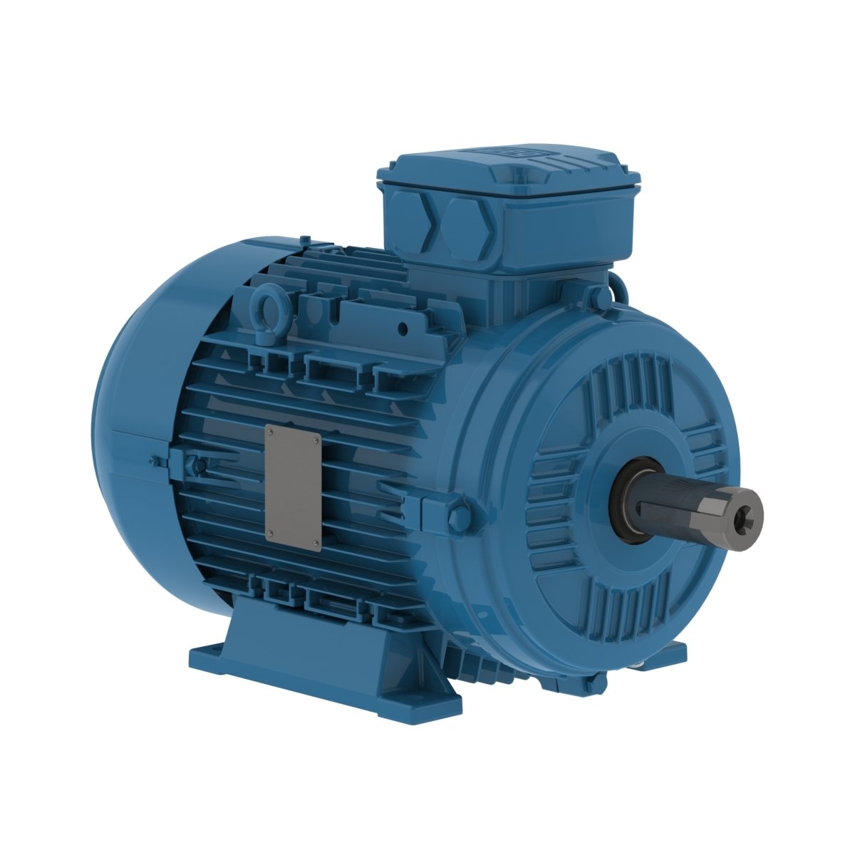 Electric motor WE 1A132M2-8