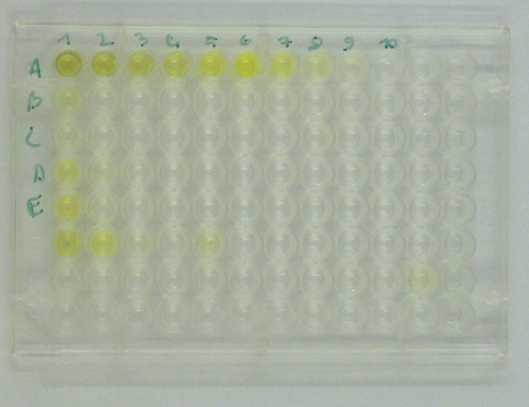 Car trailers up to 3.5 t Voimalaite Elisa VV013