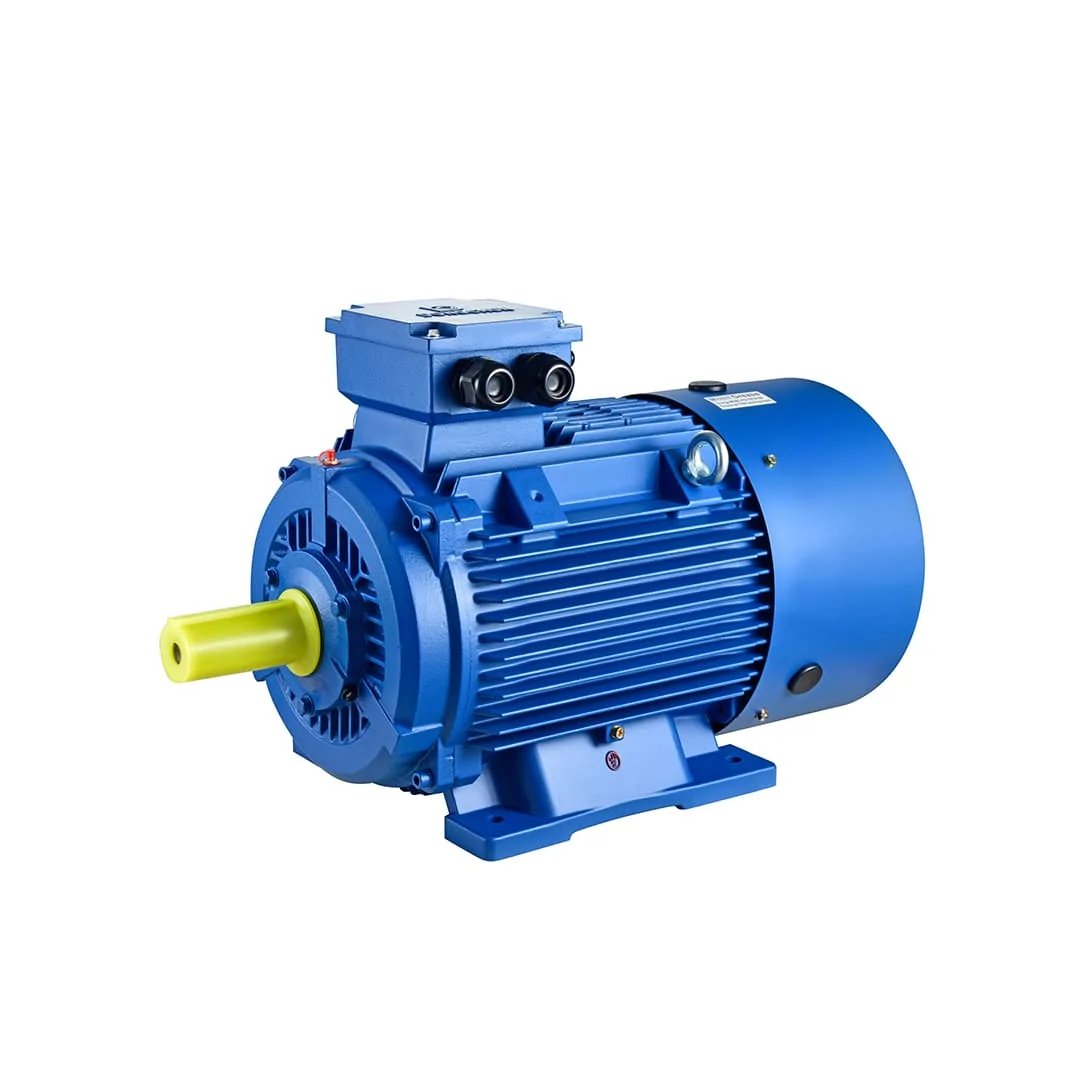Elektromotor Tema Y200L1-2