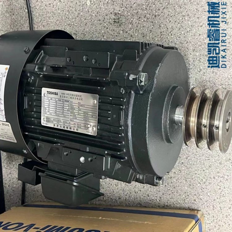 Electric motor Toshiba CD315M-8
