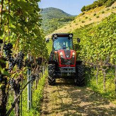 Valtra Vineyard 3400 F