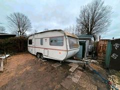 ABI ACE VICEROY