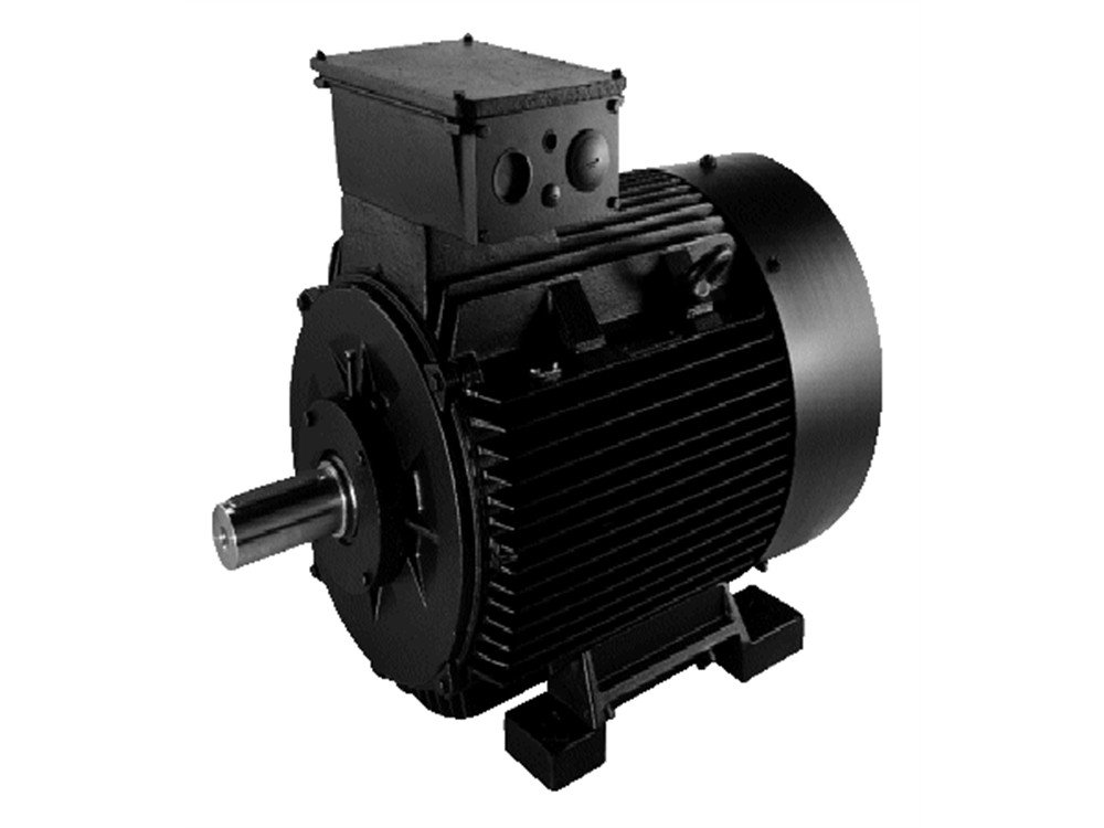 Electric motor Grundfos GTM11-160M-2
