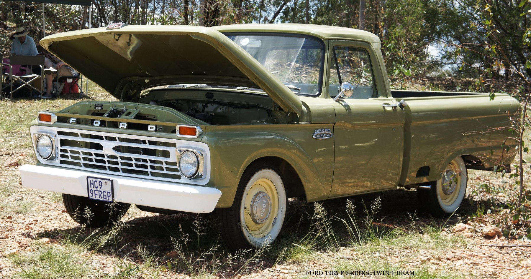 Ford F- 100