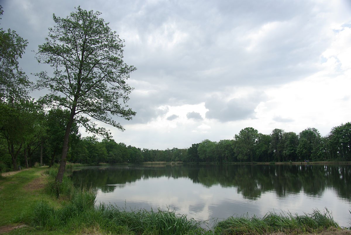 Trailer PEITZ -