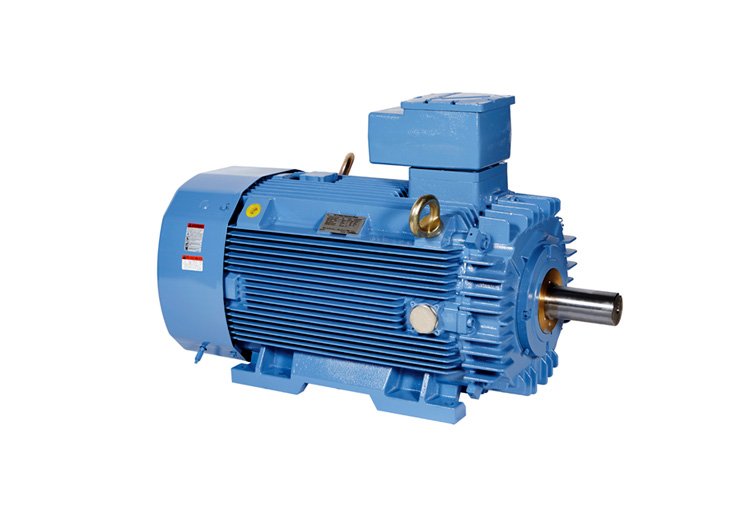 Electric motor Rxm Ef Series T37D6RXMEF
