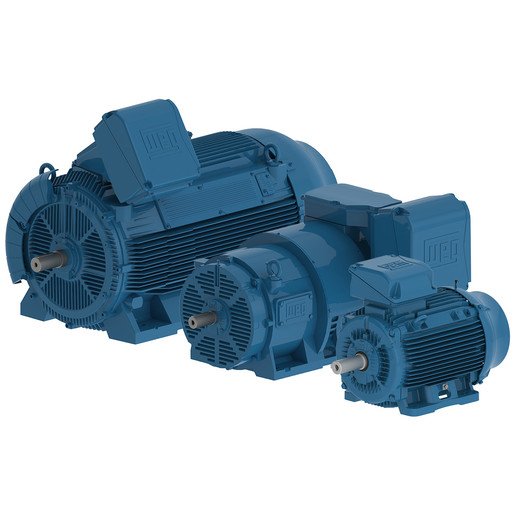Electric motor WEG KTE16B PHEM