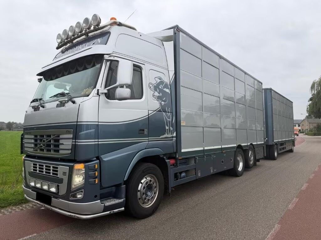 Truck Volvo FH 480 6X2 SZM