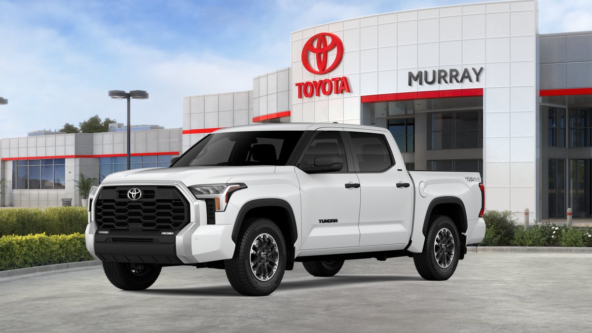 Van Toyota TUNDRA SR5