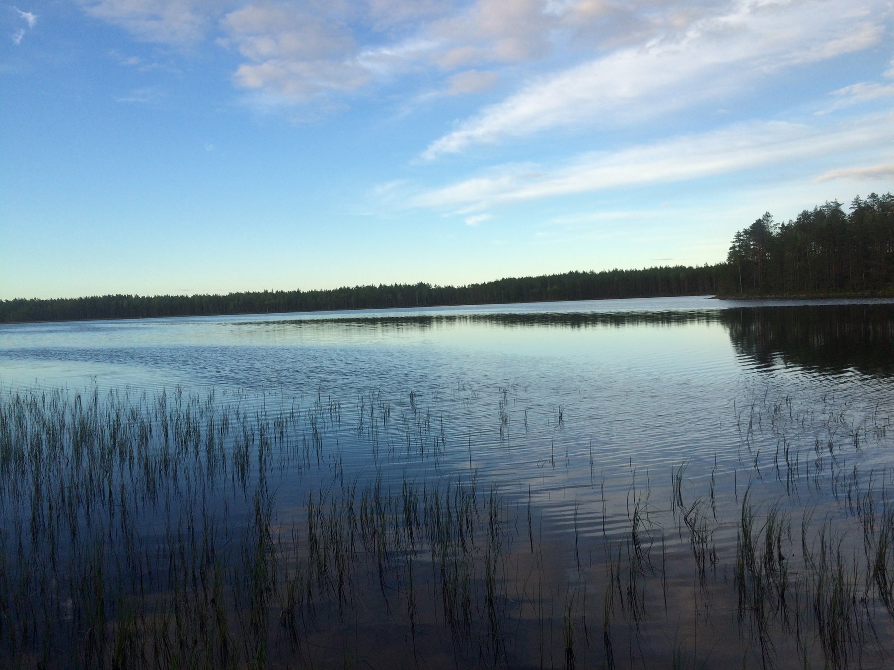 Light trailers up to 750 kg Omavalmiste KORPIJÄRVI