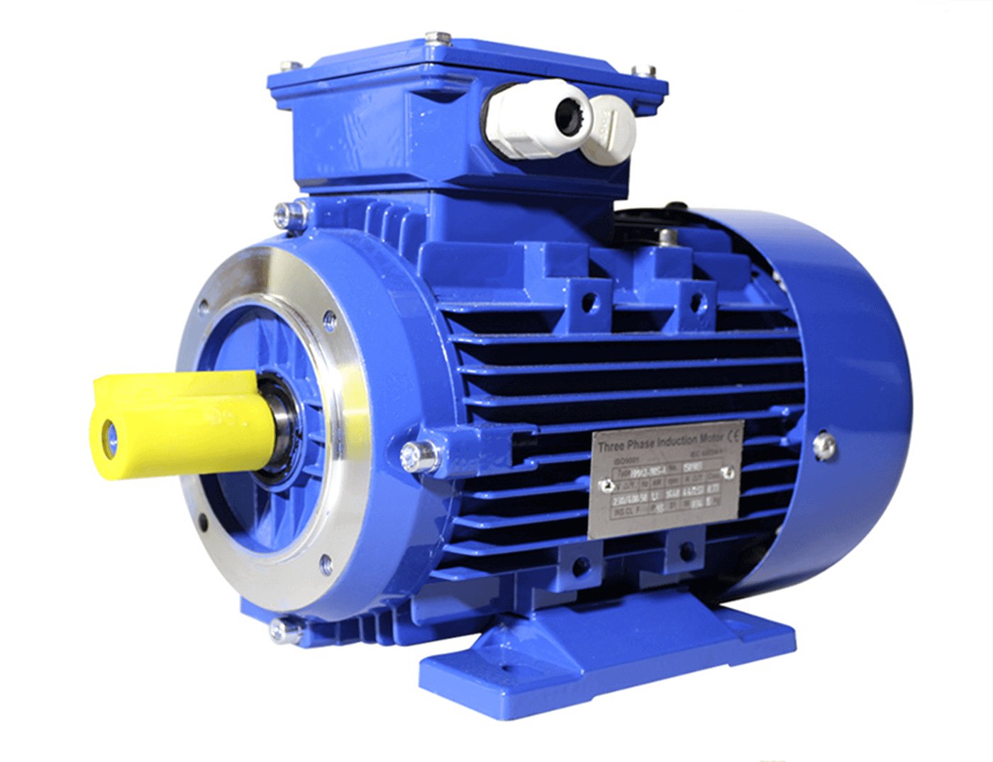 Electric motor Intem EG-132M1-6