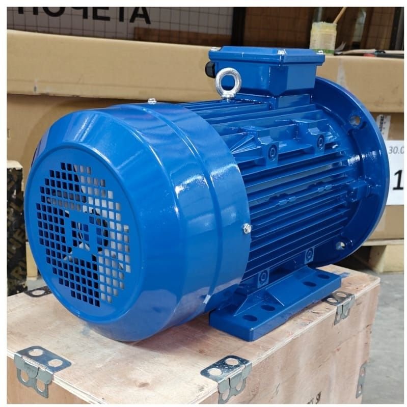 Electric motor Scorpion MS132S4