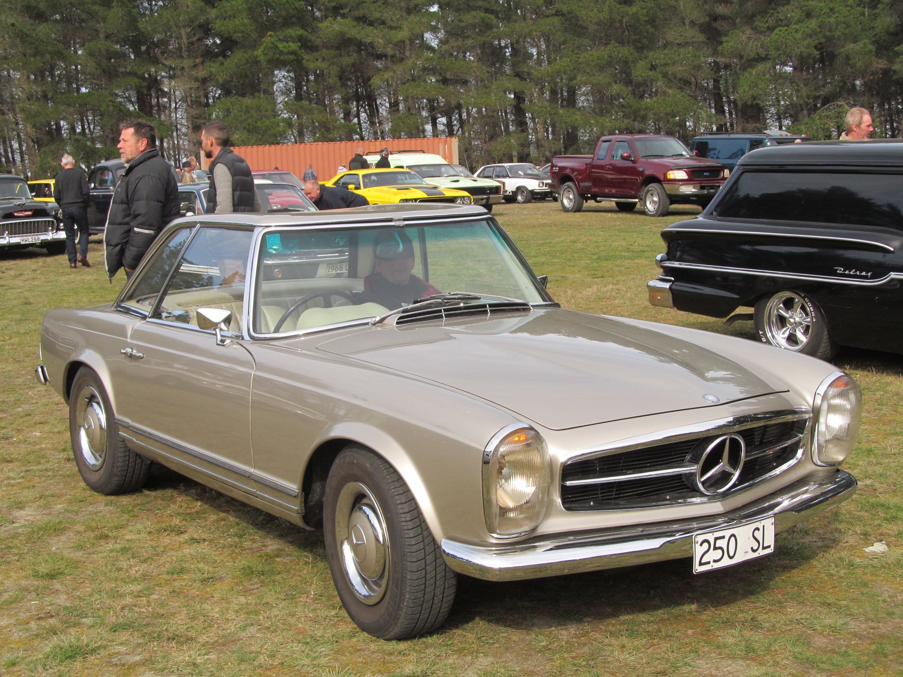 Van Mercedes Benz 250 L