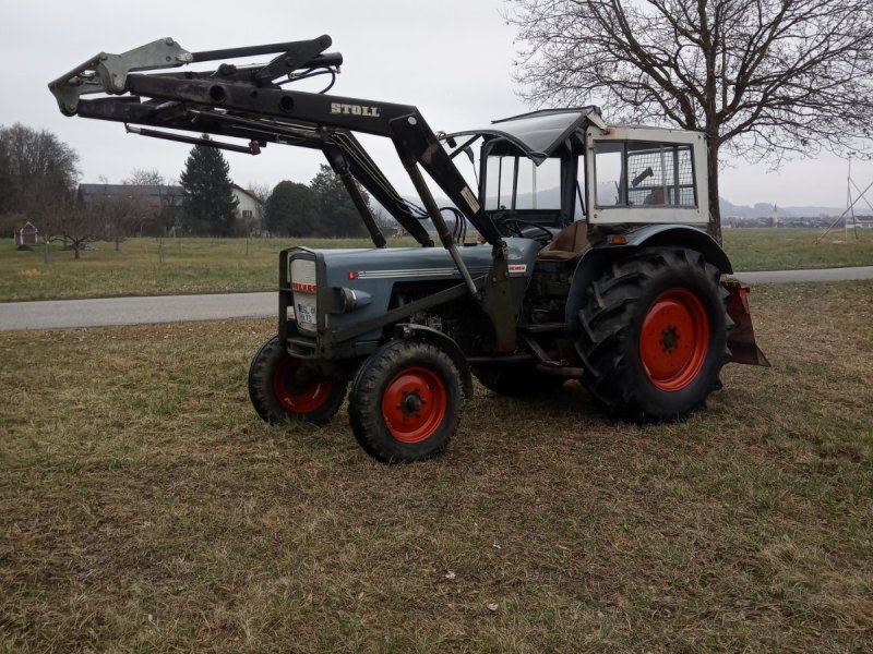 Tractor Eicher Mammut 3551 HS / TL
