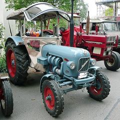 Eicher Königstiger