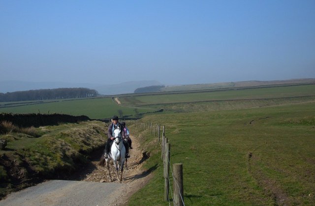 Trailer AVONDALE PENNINE